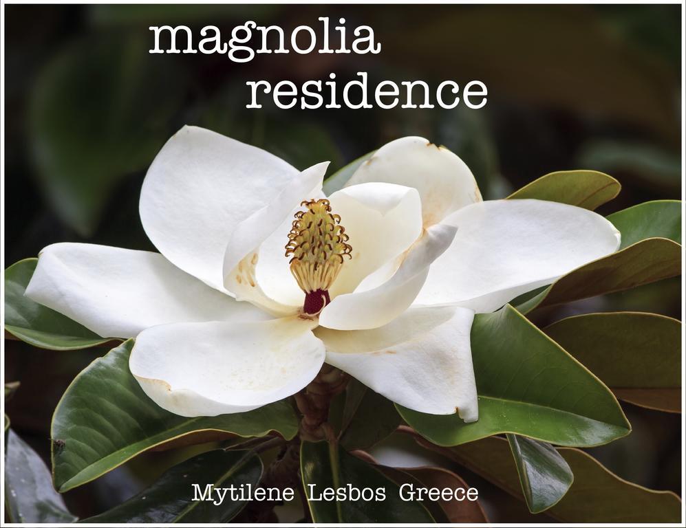 Magnolia Residence Mytilíni Extérieur photo